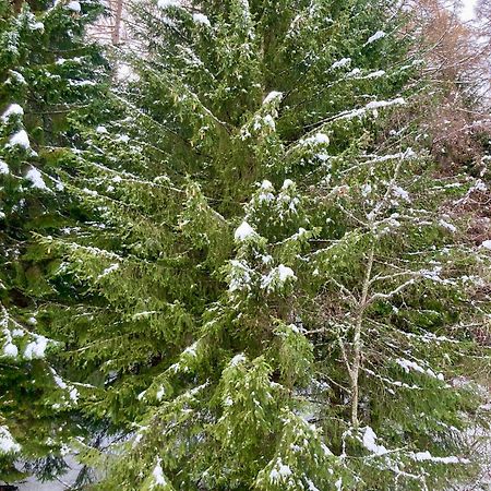 Appartamento Sulle Piste Фольгарида Экстерьер фото