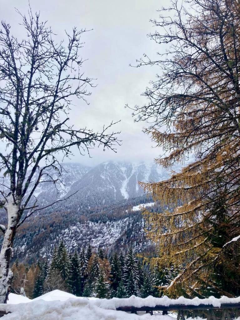 Appartamento Sulle Piste Фольгарида Экстерьер фото